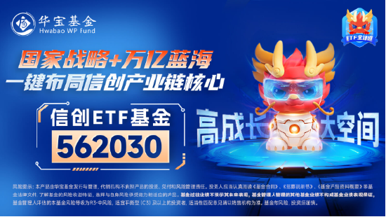 超百亿主力资金狂涌！信创ETF基金（562030）劲涨1.25%，天融信、浪潮软件涨停，机构：重点关注三方面催化-第5张图片-008彩票