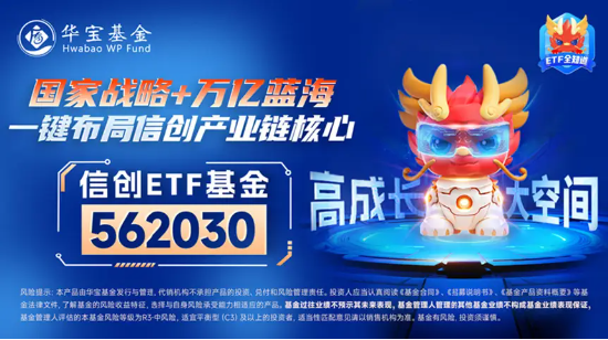 新一轮信创开启，产业链有望迎机遇！信创ETF基金（562030）一度涨超2.3%，中科曙光盘中触板-第4张图片-008彩票