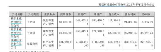 【深度】藏格矿业：双主业遇挫 巨资囤矿看上去很美-第3张图片-008彩票