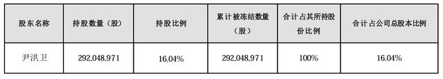 大股东持股遭八次轮候冻结，岭南股份流动性危机何解-第1张图片-008彩票